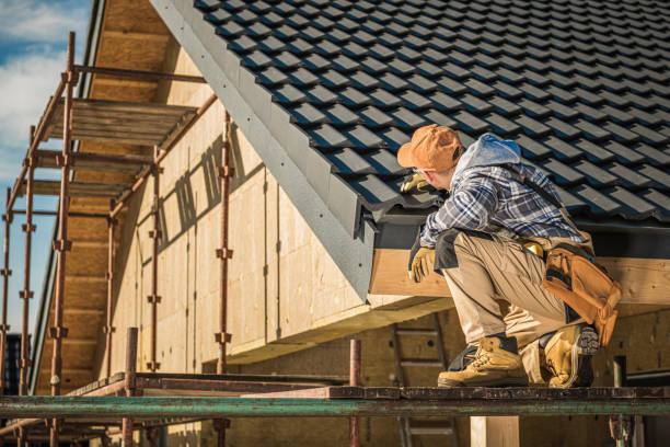Best Roof Repair Services  in Hebbronville, TX