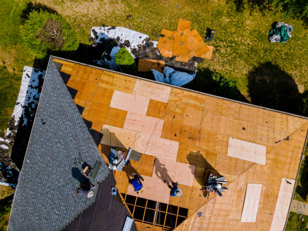 Roof Waterproofing Services in Hebbronville, TX