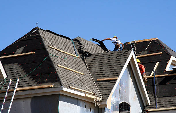 Professional Roofing Contractor in Hebbronville, TX