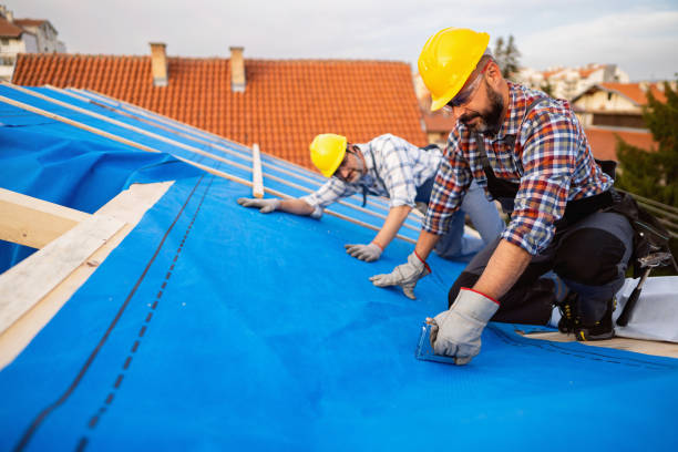 Best Roof Maintenance Services  in Hebbronville, TX