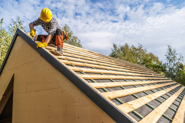 Best Roof Gutter Cleaning  in Hebbronville, TX