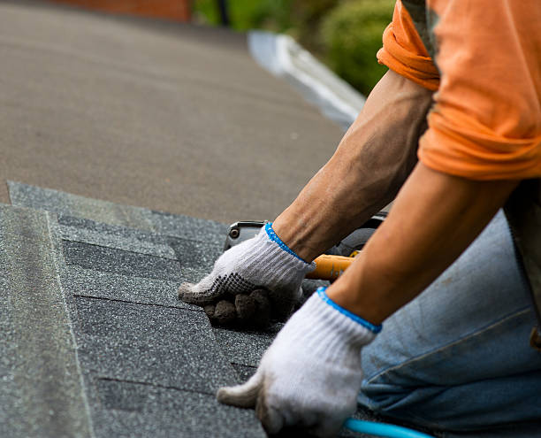 Best Sealant for Roof  in Hebbronville, TX