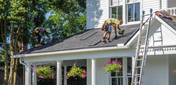 Best Local Roofing Companies  in Hebbronville, TX