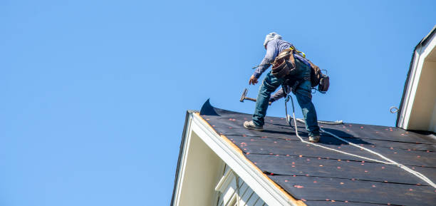 Gutter Installation and Roofing in Hebbronville, TX